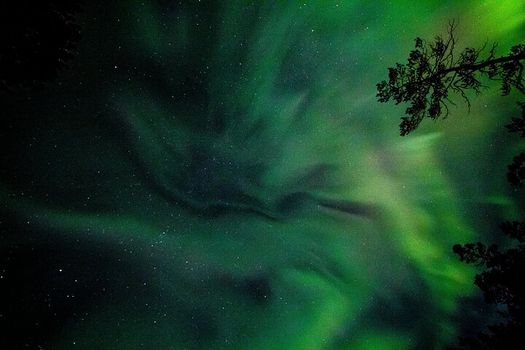 Northern Lights for Families – A Private, Cozy Adventure for Kids — photo 4