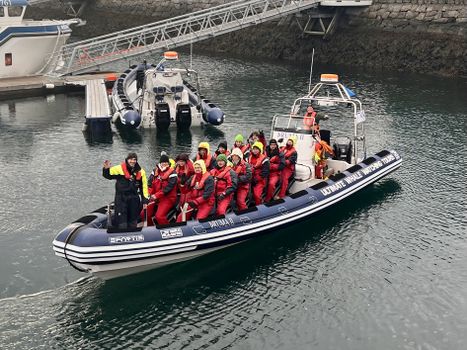 Reykjavík Premium Whale Watching — photo 25