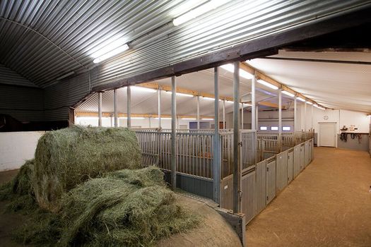 Farm visit to Hestaland — photo 4