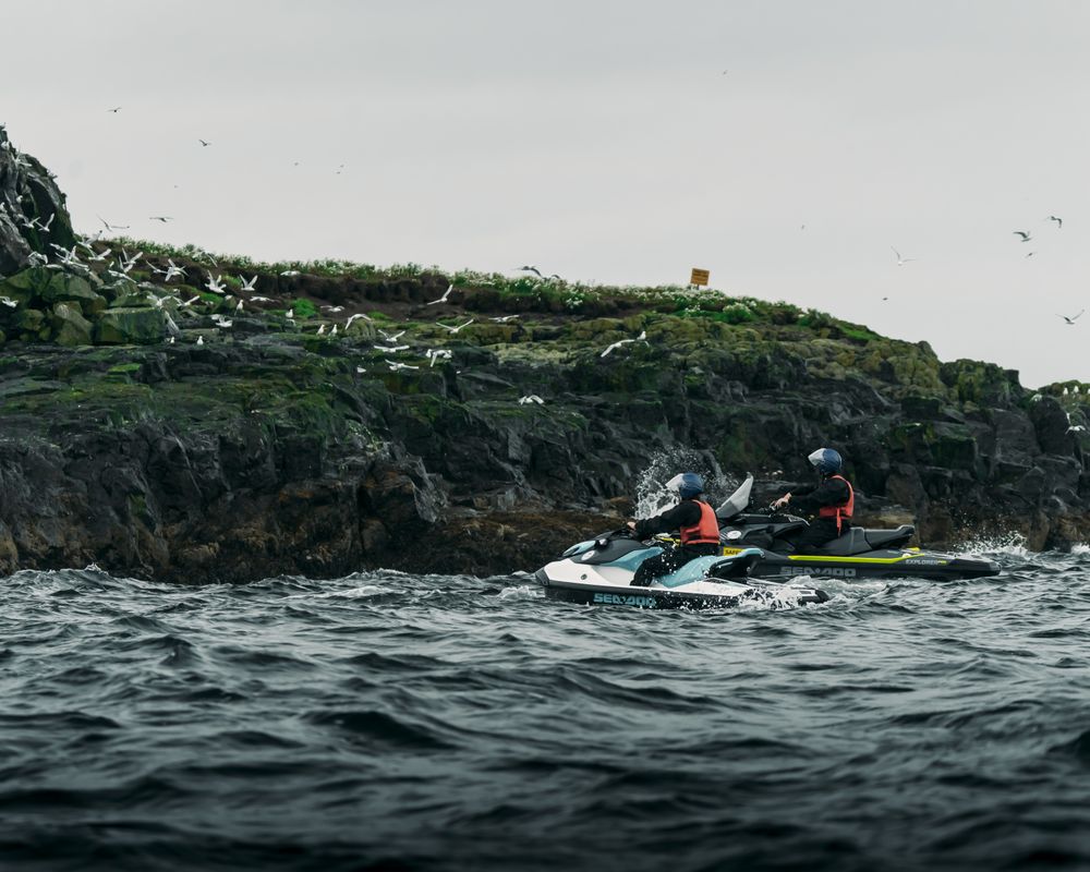 Puffin Jet ski tour, photo 11 of 11