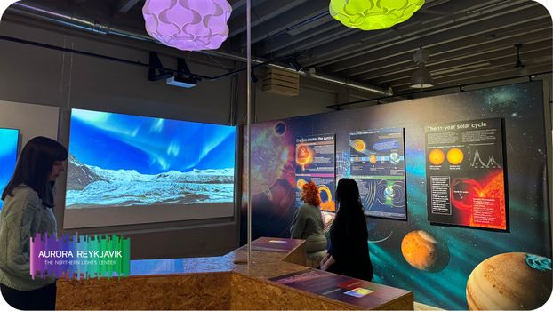 Aurora Reykjavík, The Northern Lights Center of Iceland - Museum Visit — photo 11