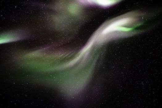 Private Northern lights with photographs — photo 6