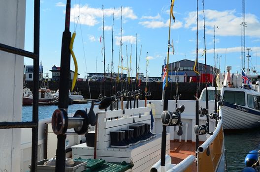 Sea Angling — photo 3