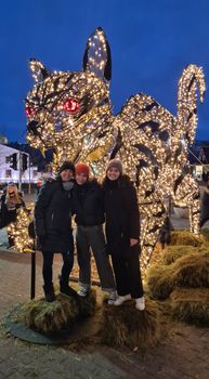 Private Reykjavik Christmas Walking Tour — photo 9