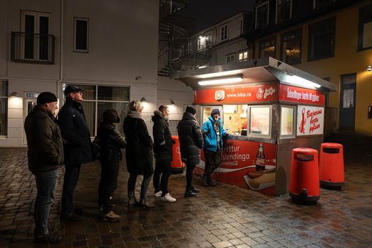 Reykjavik Food Lovers Tour - Traditional Icelandic Food — photo 10