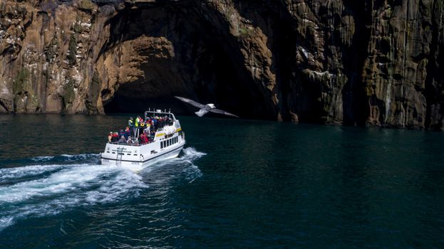 Vestmannaeyjar Boat Tour — photo 6