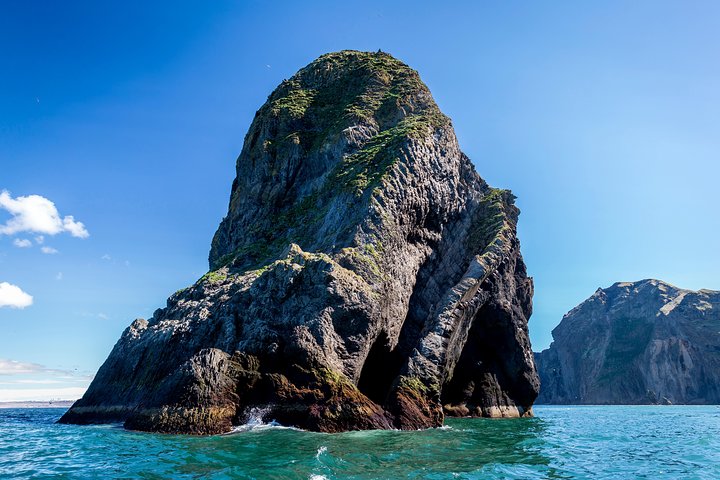 1-Hour Small Islands Trip, photo 5 of 8