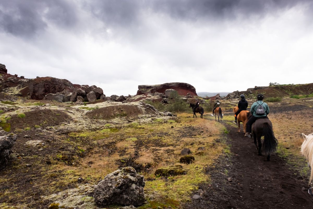 Red Lava Horse Riding Tour - Reykjavík, photo 6 of 7