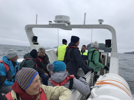 Puffin, island, and volcano boat tour — photo 2