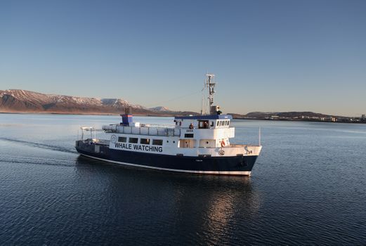 New Years Fireworks by Boat from Reykjavik — photo 7