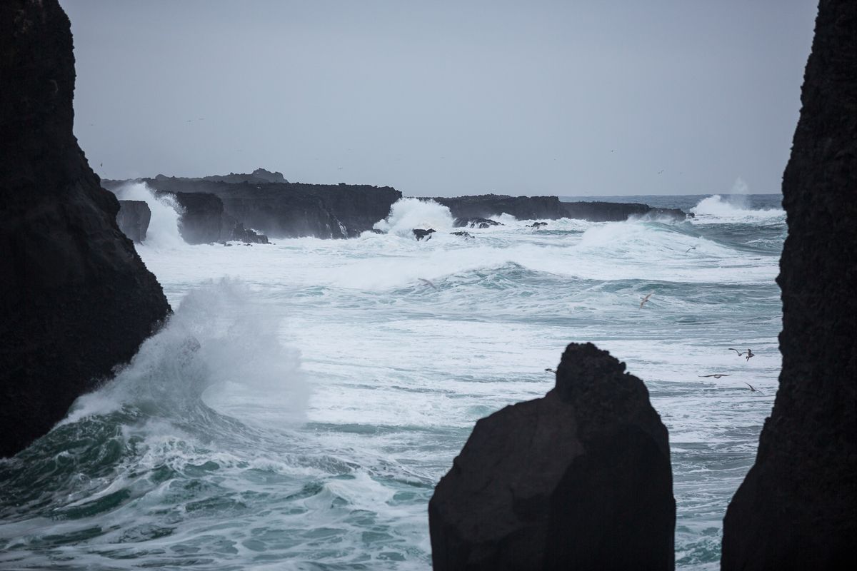 Reykjanes Lava Circle: Private Adventure to New Lava & Grindavík, photo 79 of 97