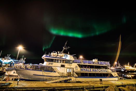 Northern Lights by Boat — photo 14