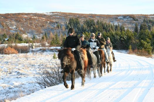 Viking Tour - For experienced riders