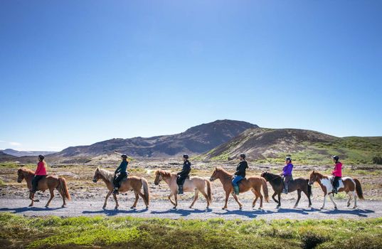 Private Horseback Riding Tour — photo 3