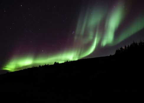 Goðafoss, Forest Lagoon & Northern Lights - Winter Combo — photo 8