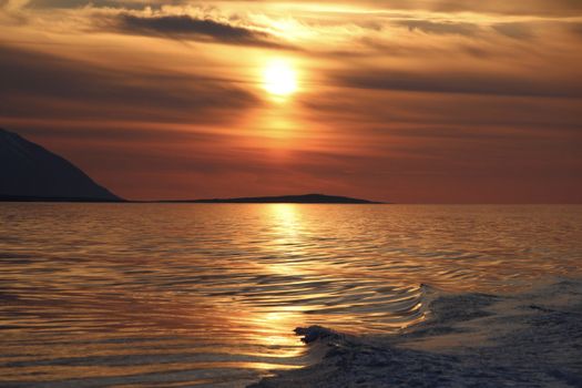 Akureyri Express Whales in the Midnight Sun — photo 3