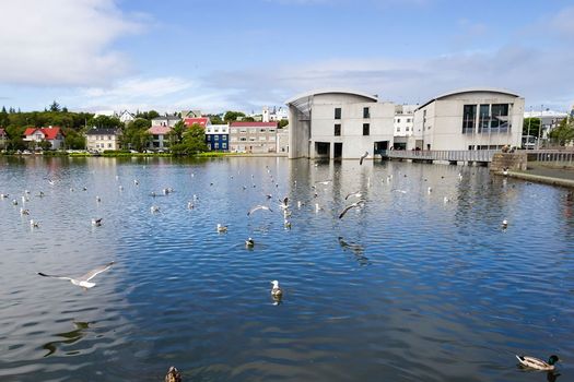 Private Reykjavik City Tour — photo 4