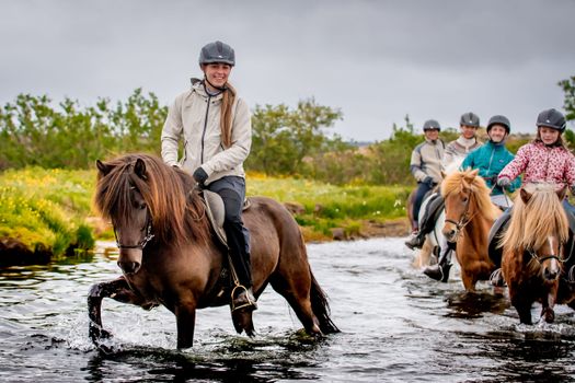 Viking Horses Morning Tour — photo 4