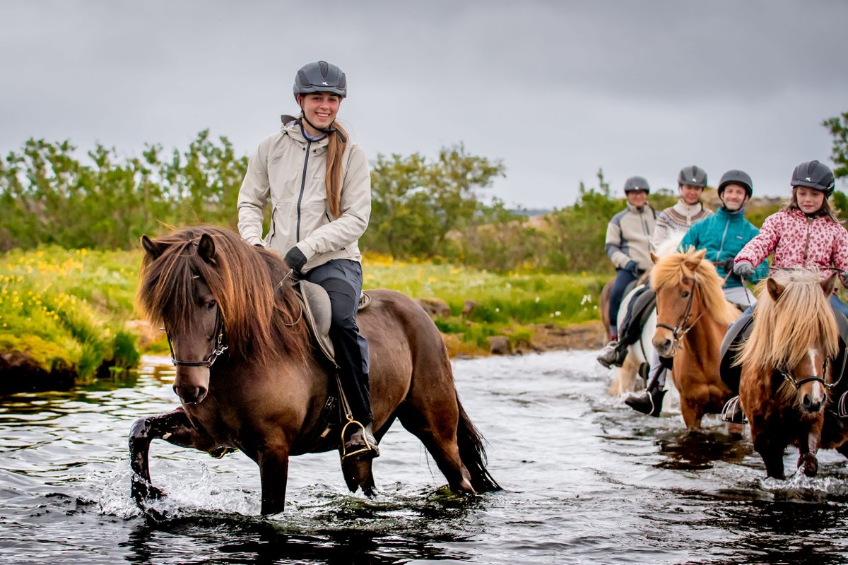 Viking Horses Morning Tour, photo 4 of 8