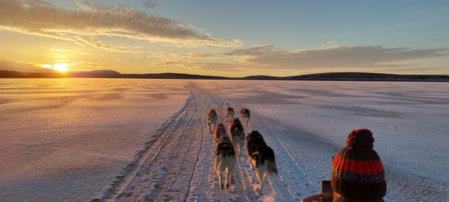 Siberian Husky Dog Sledding — photo 2