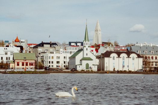 Private Reykjavik City Sightseeing — photo 4