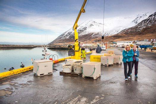 Private Arctic Coastline & Whale Watching — photo 3