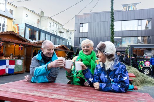 The Reykjavik Christmas Food Tour — photo 2