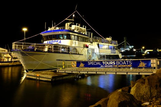 New Years Firework Cruise — photo 6