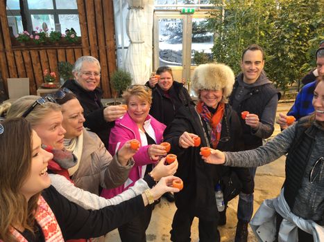 Golden Circle Small Group Tour with Friðheimar Farm Visit — photo 9