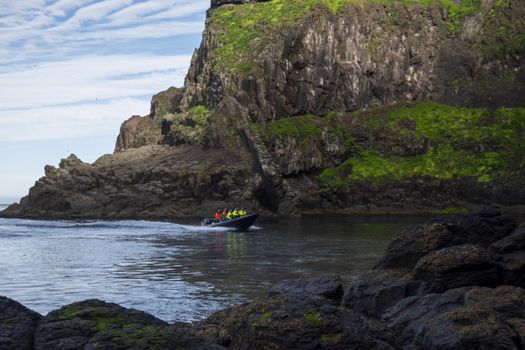 Puffin Quest — photo 17