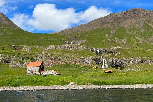 Viking Wildlife RIB Adventure — photo 11