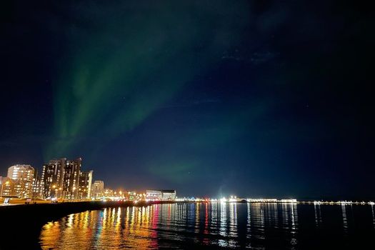 Reykjavik History and Sightseeing Walking Tour — photo 4