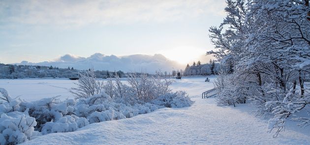 Golden Circle & Reykjavík Christmas Walk — photo 4