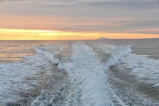 Reykjavík Premium Whales in the Midnight Sun — photo 22