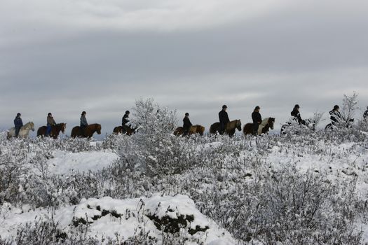 Private Horseback Riding Tour — photo 2