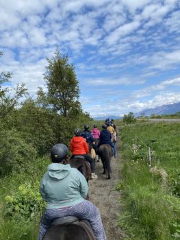 Horse Riding Tour and Explore Scenery in Gásir Akureyri — photo 14