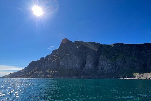 Viking Wildlife RIB Adventure — photo 14