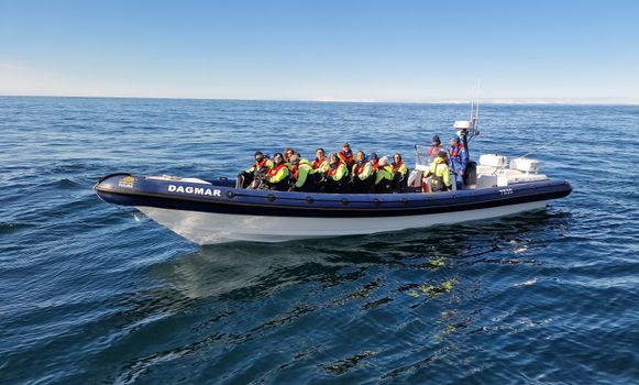 Puffin Express by RIB Speedboat — photo 6