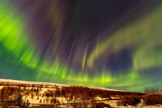 Akureyri Northern Light Tour — photo 4
