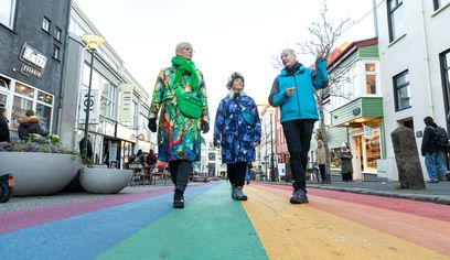 Private Reykjavik LGBTQ+ City Walk