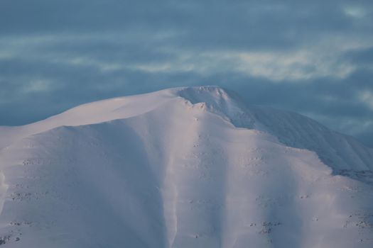 Akureyri Classic Whale Watching — photo 16