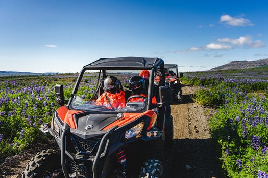 Buggy Adventure from Geysir Area (Skjól)