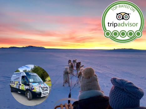 Dog Sledding Near Reykjavik — photo 4
