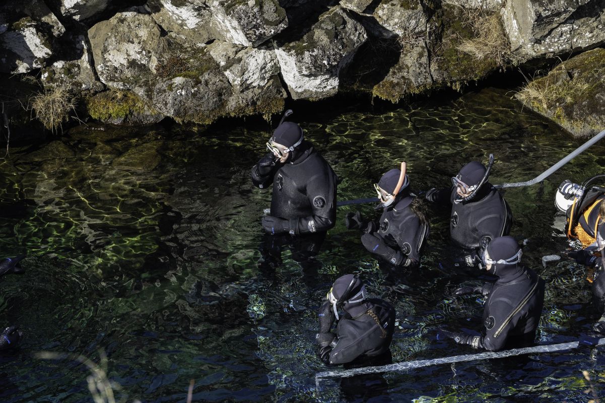 Private Golden Snorkel in Minivan: Golden Circle and snorkeling in Silfra