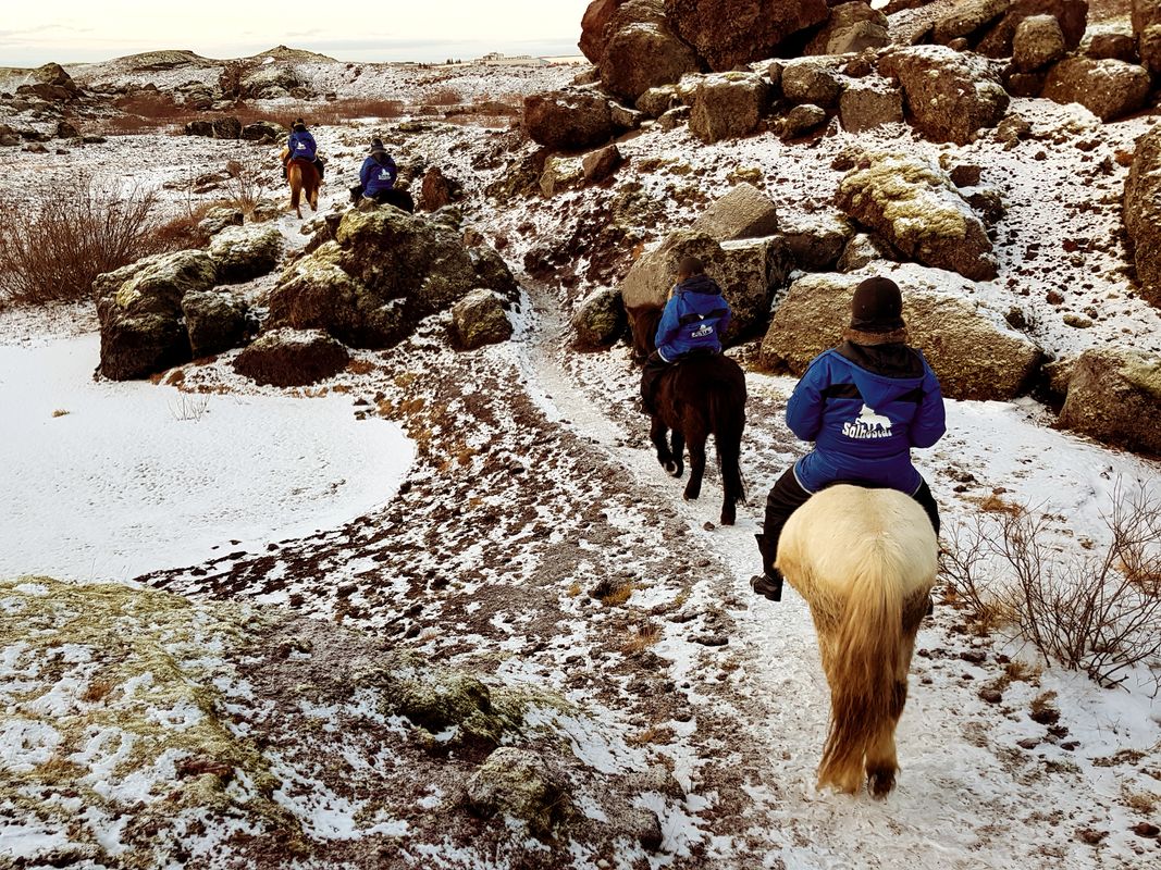 Red Lava Horse Riding Tour - Reykjavík, photo 3 of 7