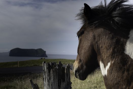 Private SuperJeep tour to the Westman Islands: History and Natural Wonders — photo 4