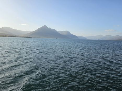 Exploring Djúpivogur - Nature and wildlife — photo 2