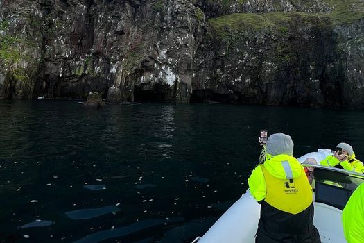 Viking Wildlife RIB Adventure — photo 10