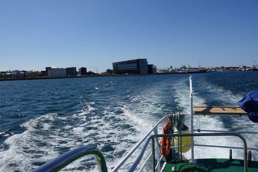 Whale watching - Downtown Reykjavík — photo 10