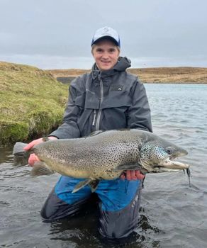 Private Fly Fishing Day Tour for Big Brown Trout - West Rangá Trout Beat — photo 8